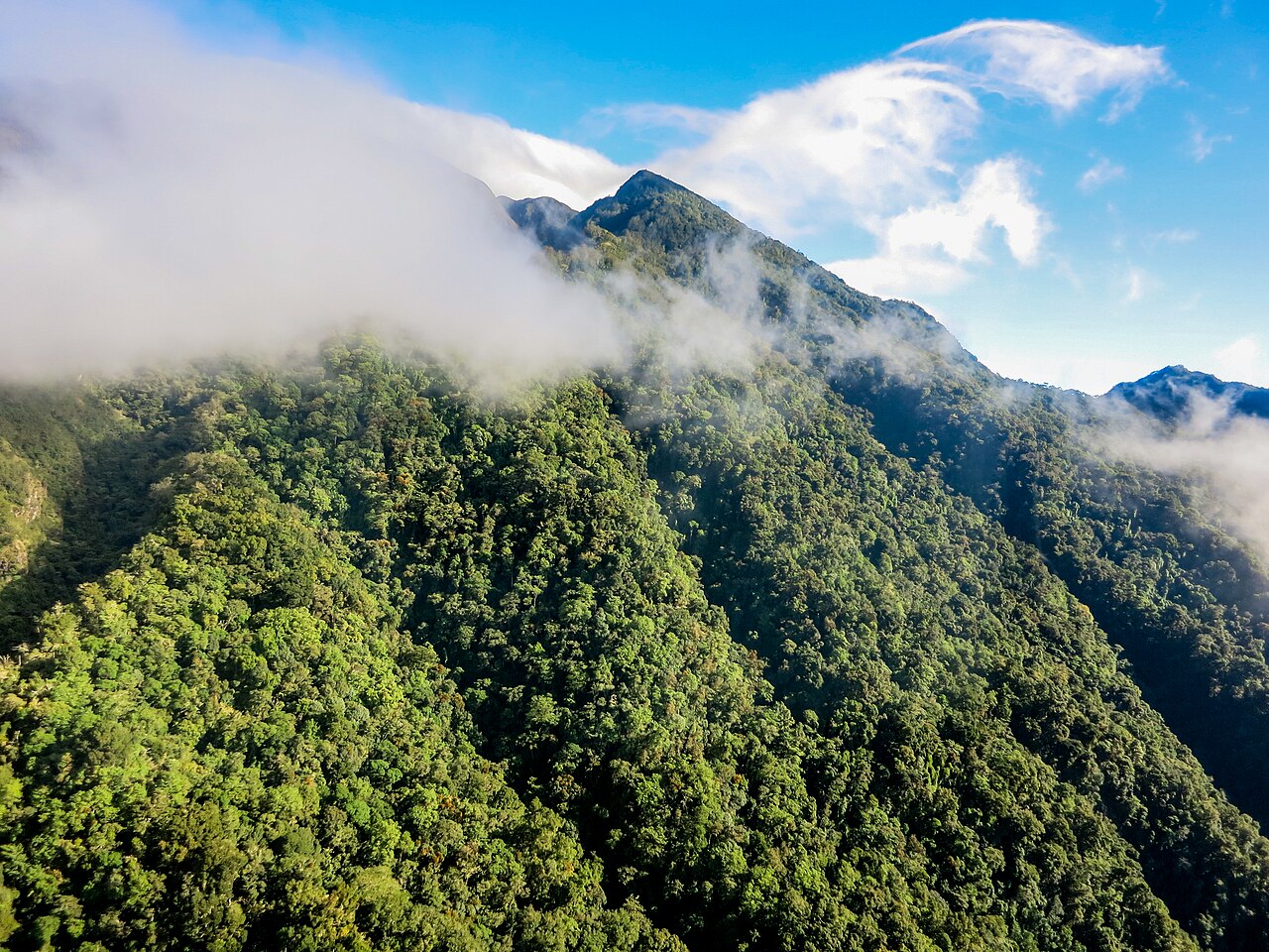 Volcán Barú, Panama's highest peak