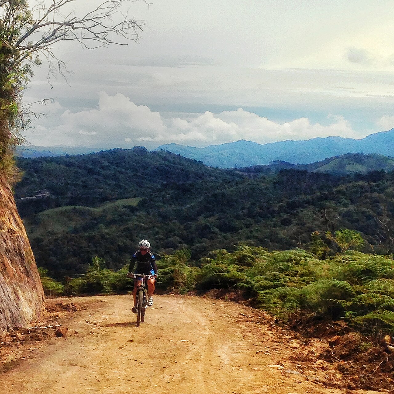 The road over Cerro de la Muerte