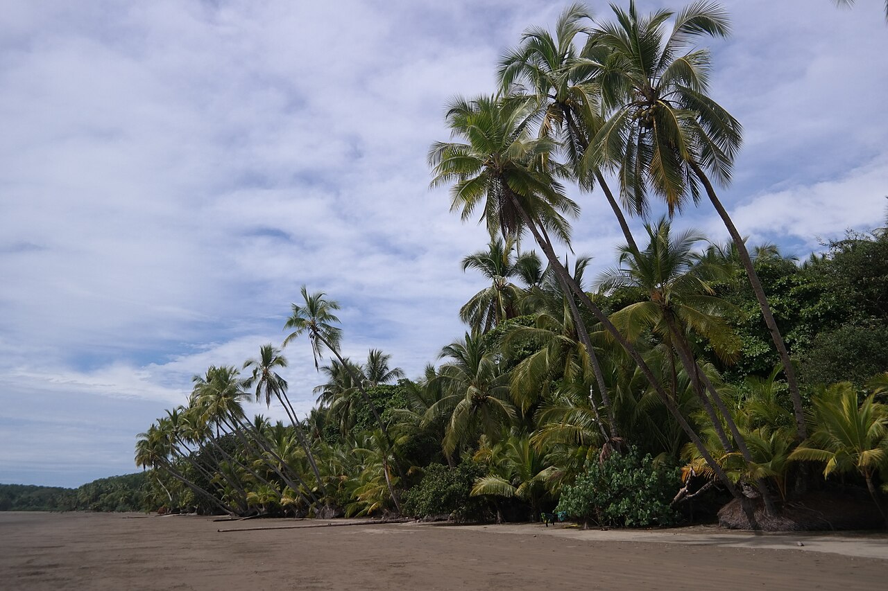 Playa Uvita at sunset