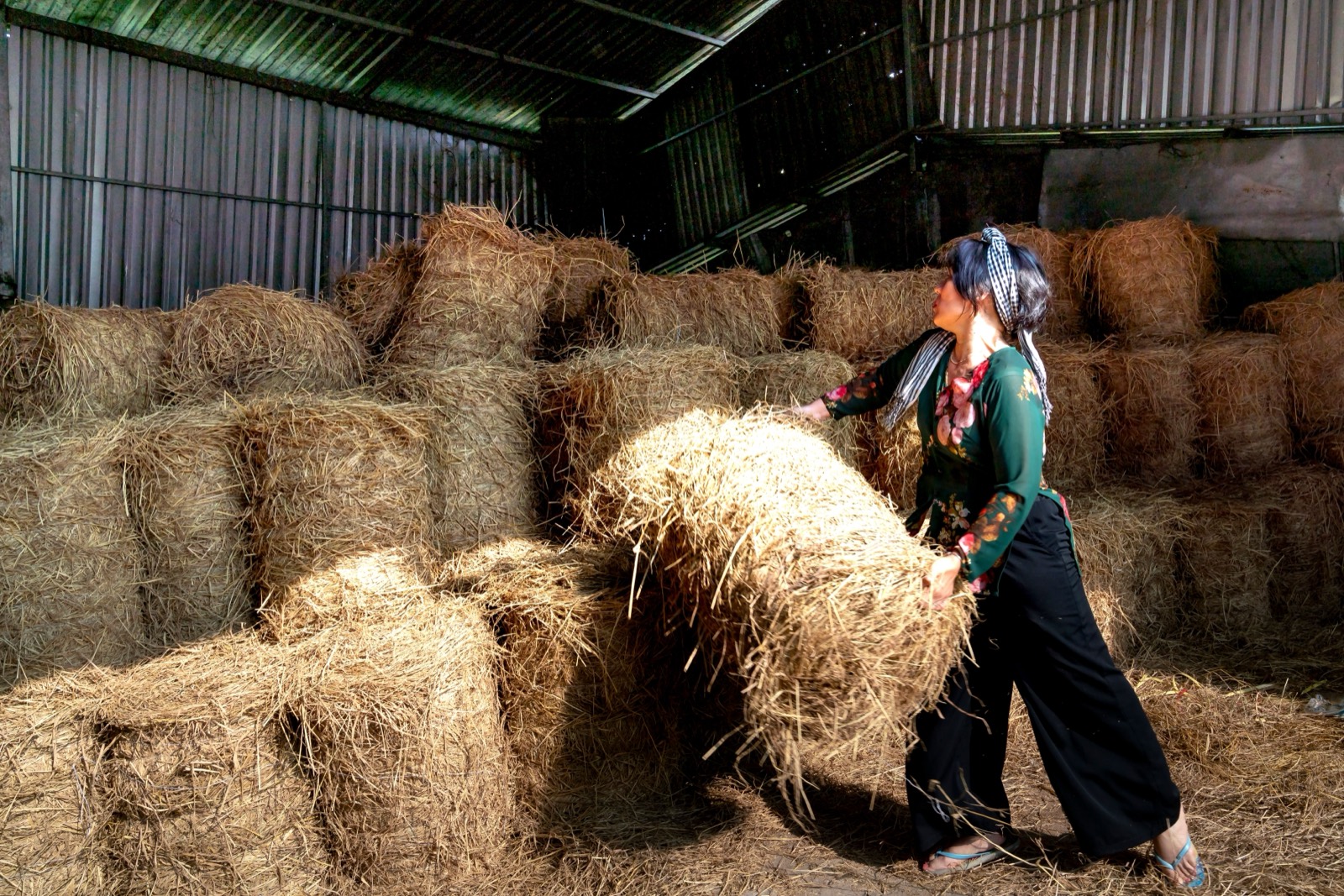 Straw bales stacked in a barn