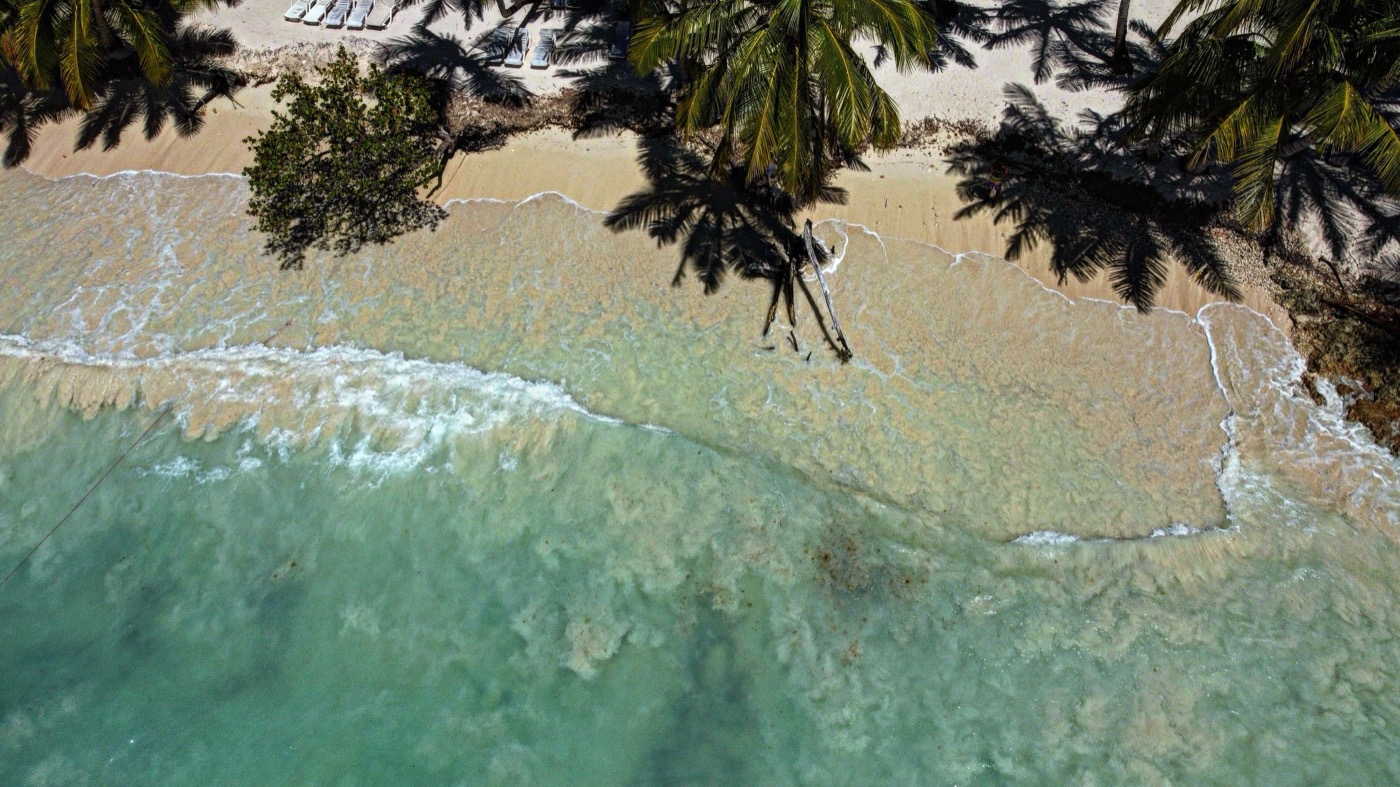 Turquoise water and palm-lined beach at Las Terrenas, Dominican Republic