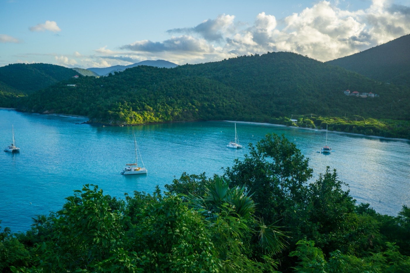 Sailboats anchored in a green-hilled bay at Cruz Bay, St. John, US Virgin Islands
