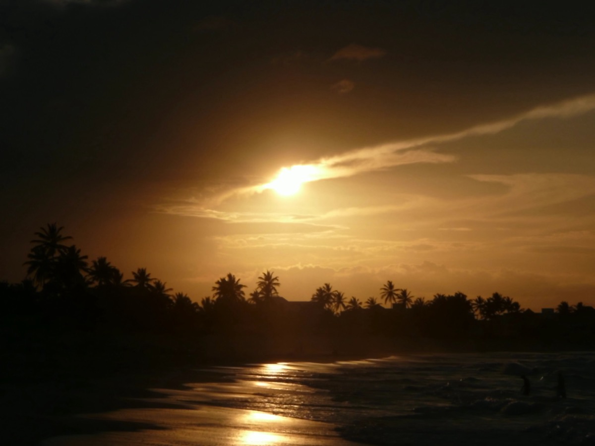 Palm trees at sunset on a Caribbean beach — relocation guide to all 29 inhabited islands