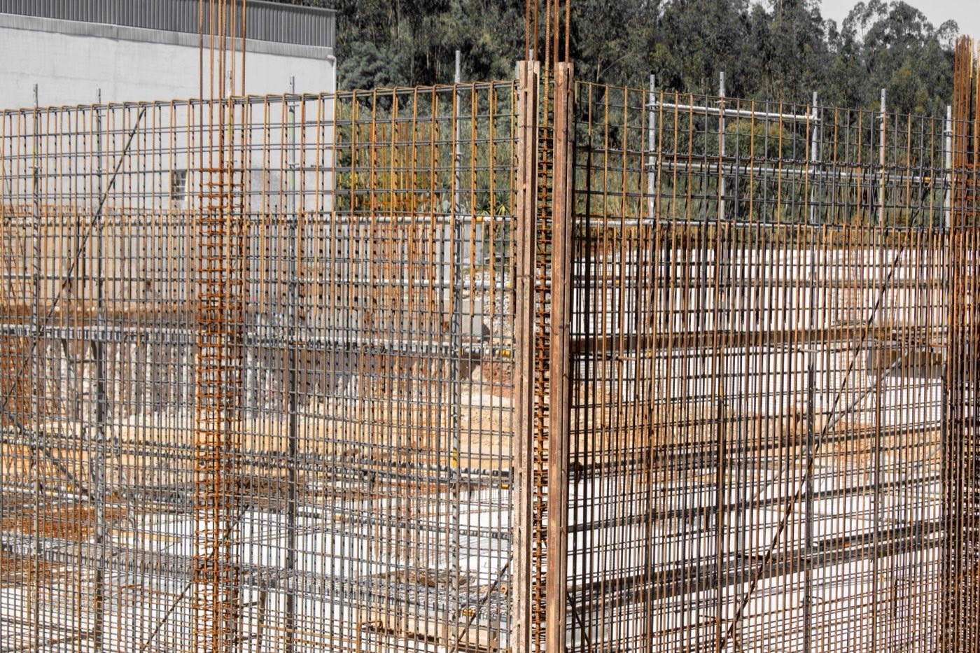 Reinforcing steel cages standing on a poured foundation before concrete is placed