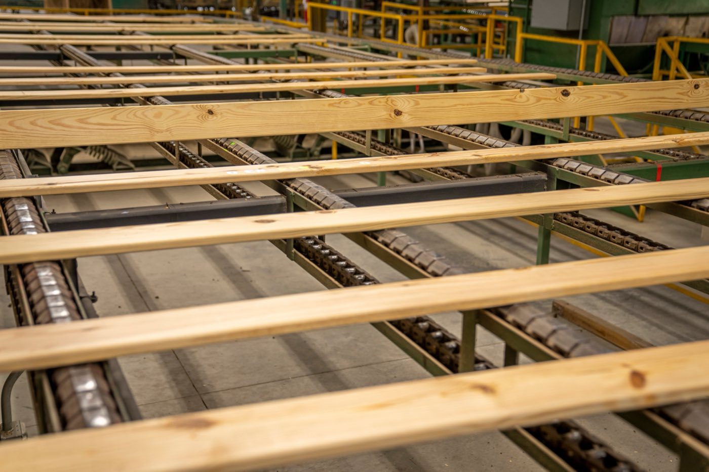 Dimensional lumber moving along a conveyor line inside a timber factory