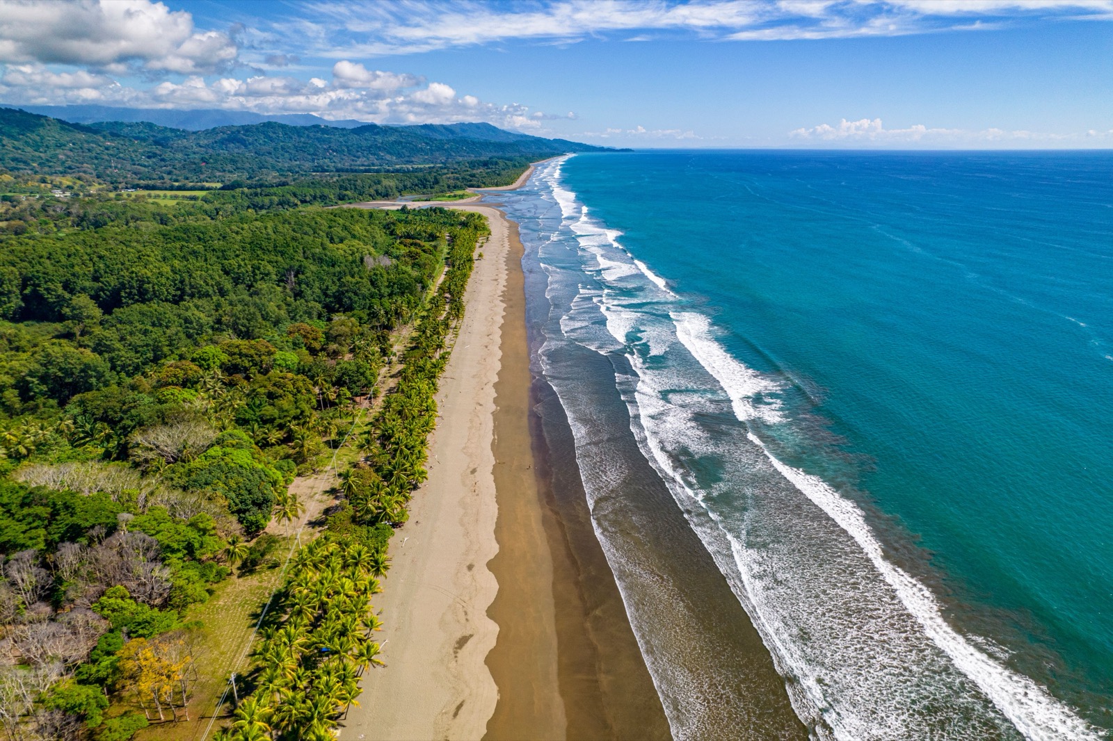 A jungle-backed beach on Costa Rica's Pacific coast