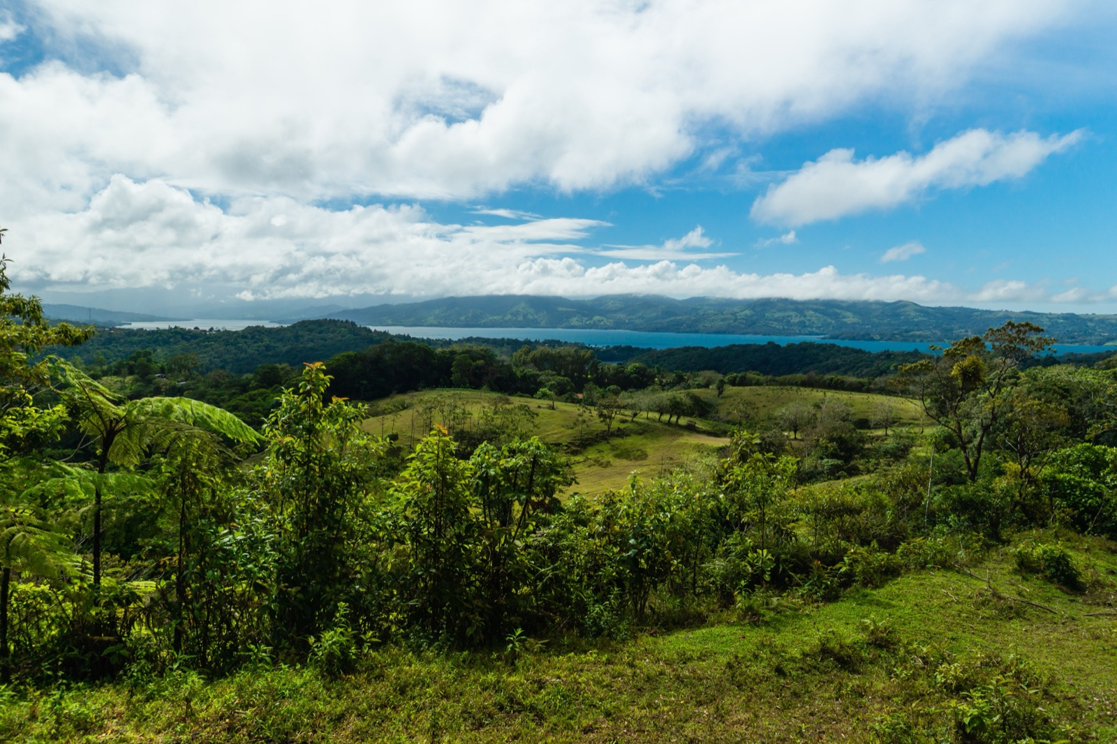 Green highlands of Costa Rica — moving to Costa Rica guide