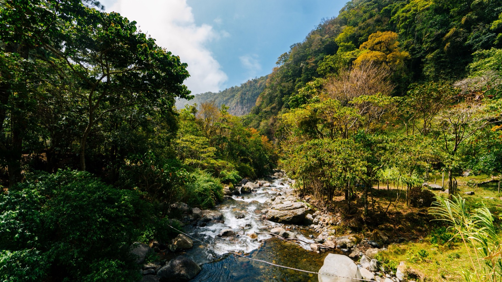 The mountain town of Boquete in Panama's highlands