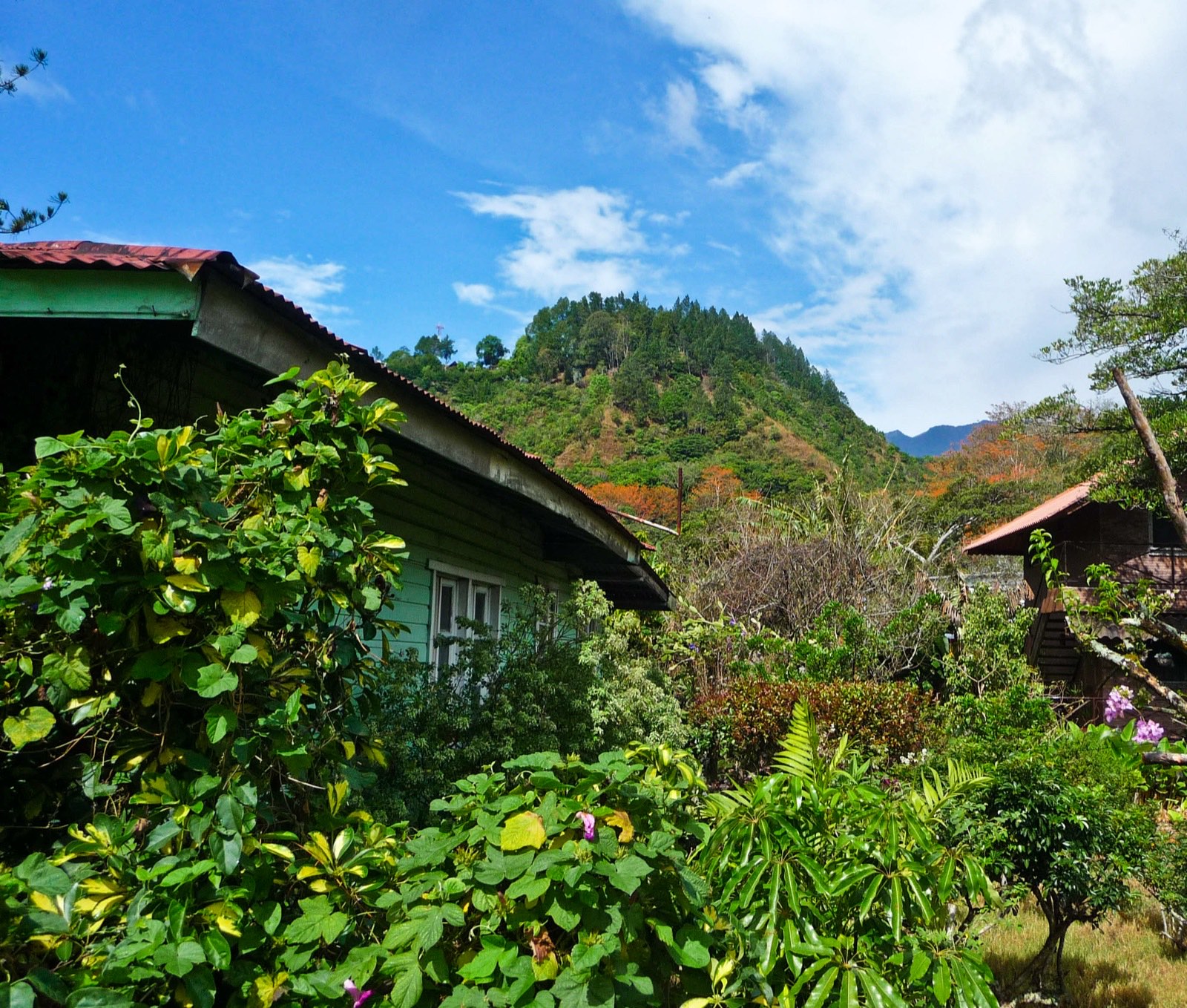 A tin-roofed highland house against forested hills in Boquete