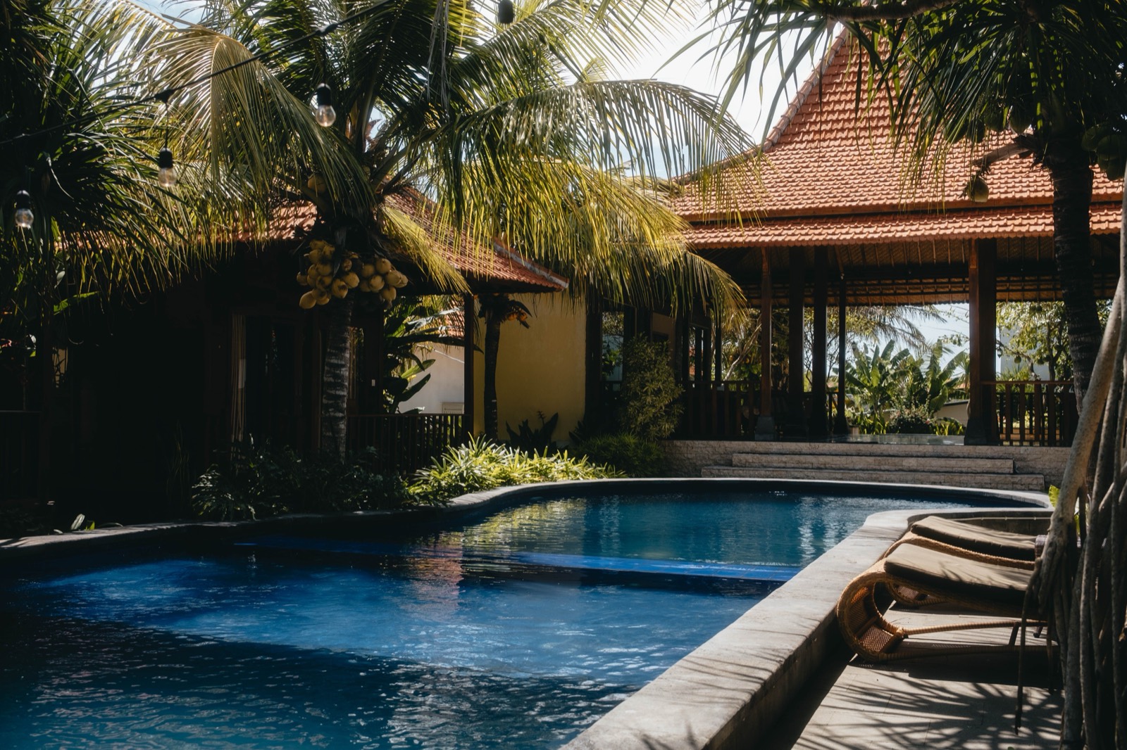 The Panamanian highlands — moving to Panama guide