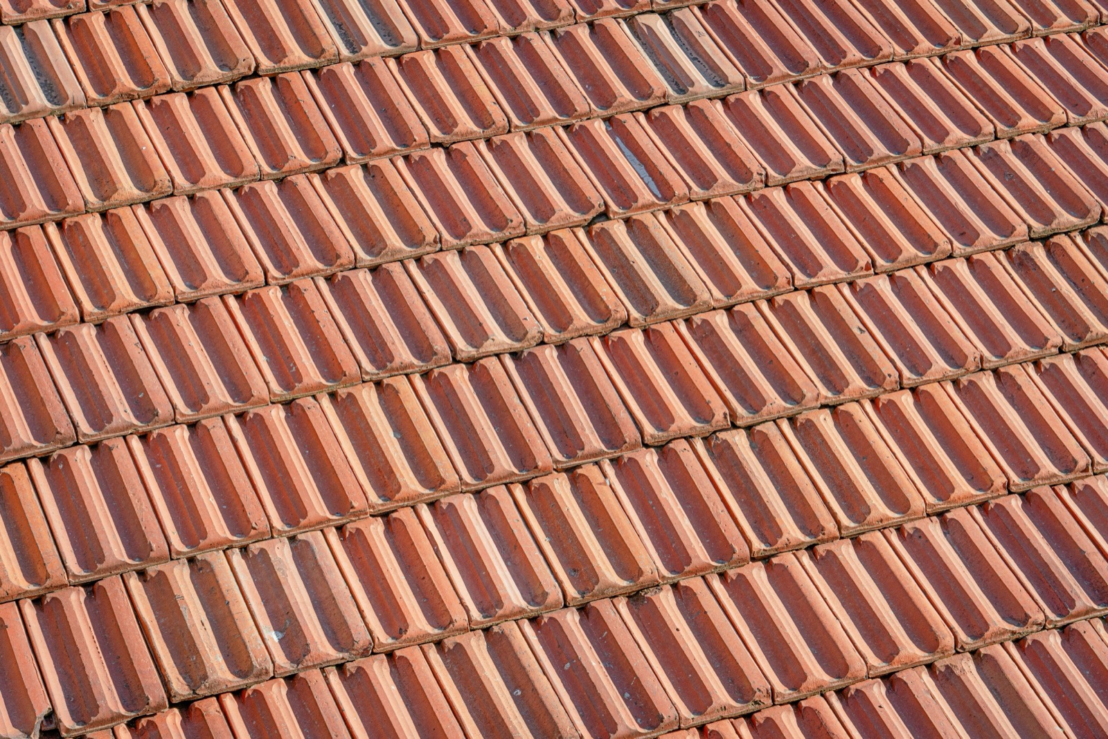 Close-up of terracotta barrel roof tiles